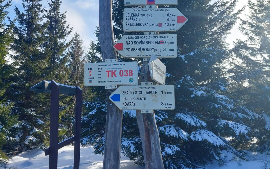 Školení/soustředění trenérů
